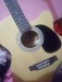 Acoustic Guitar